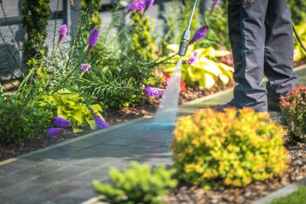 Best Winterizing Services  in Homosassa Springs, FL