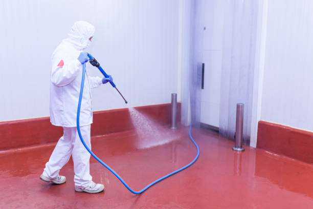 Best Sidewalk and Walkway Cleaning  in Homosassa Springs, FL