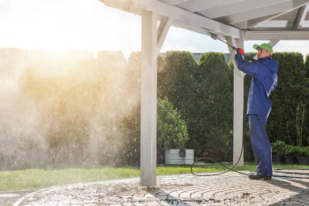 Best Fence Cleaning  in Homosassa Springs, FL