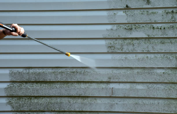 Professional Pressure Washing Services in Homosassa Springs, FL